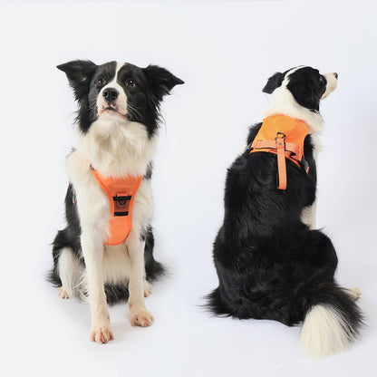 No Pull Dog Harness with Retractable Leash, Harness and Leash Combo